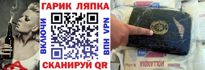 hydra сайт  Губкин  Гашиш индика сатива 