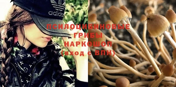 соль ск Алексеевка