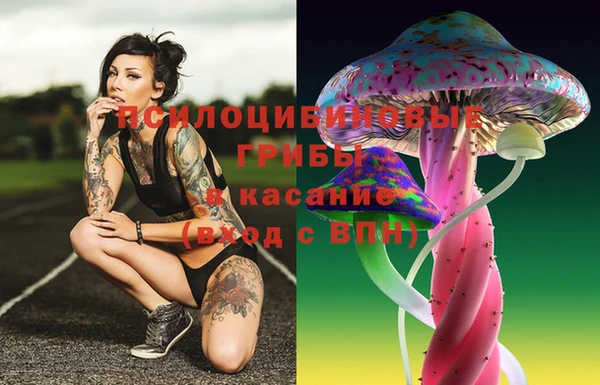 тгк Алзамай