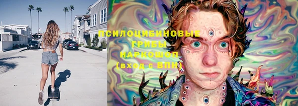 тгк Алзамай