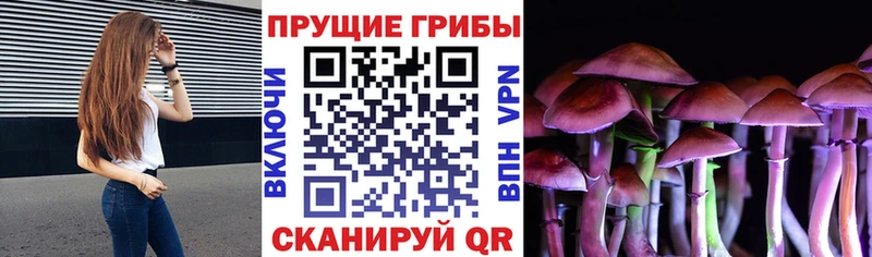 Псилоцибиновые грибы Magic Shrooms Губкин