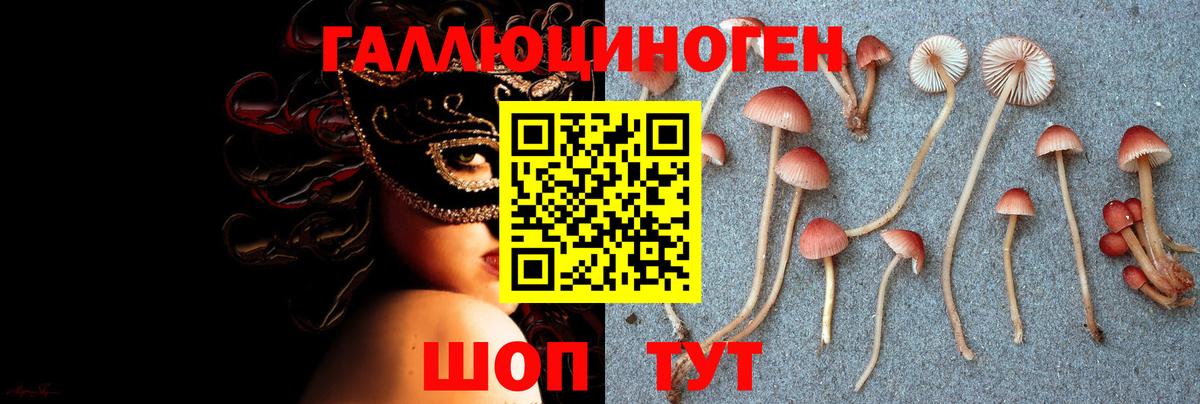 Псилоцибиновые грибы Psilocybine cubensis Губкин