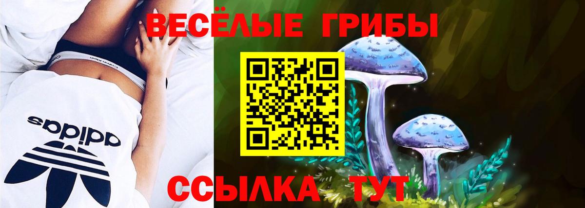 Губкин  Псилоцибиновые грибы GOLDEN TEACHER  Псилоцибиновые грибы GOLDEN TEACHER  Вход с VPN 